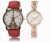 REMIXON Women Watch With Stylish Multicolor Dial LR 215_230 Analog Watch  - For Girls