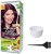 garnier color naturals hair color (wine burgundy no. 4.20) + 1 mixing bowl + 1 dyeing brush(3 items