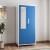 woodness ryan metal 2 door wardrobe(finish color - dual tone blue white, mirror included)