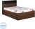 delite kom urban engineered wood single box bed(finish color -  acacia dark matt finish)