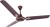 Orient Electric Delicia (Brown) 1200 mm 3 Blade Ceiling Fan(Brown, Pack of 1)