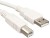 SEA SHELL Printer Cable 1.5 1.5 m Power Cord(Compatible with printer, White)