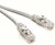 Quantum 1.8 MTRS CAT5 PATCH CABLE 1.8 m LAN Cable(Compatible with Computer, Laptop, White, One Cabl