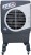 OWSM 55 L Desert Air Cooler(Grey, White, GALE)