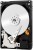EverStore DESKTOP SERIES 250 GB Desktop Internal Hard Disk Drive (250GB)
