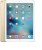Apple iPad Pro 32 GB 12.9 inch with Wi-Fi Only