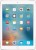 Apple iPad Pro 256 GB 9.7 inch with Wi-Fi Only