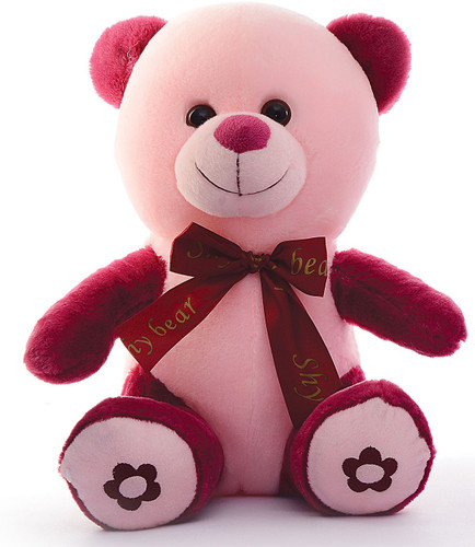 dimpy teddy bear