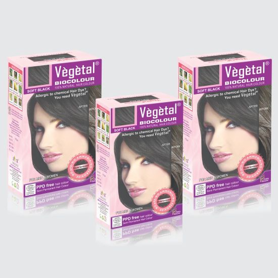 Vegetal Soft Black 150 Gm 3 Hair Color Price In India Buy