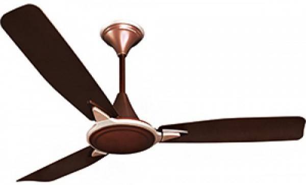 Buy Crompton Amour Ceiling Fan Brown Online At Lowest