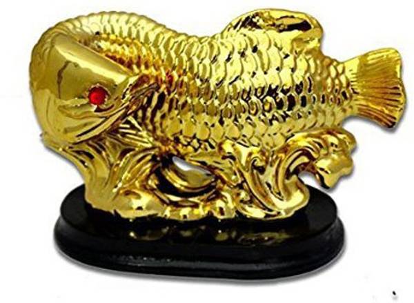 Pure Life PURE LIFE FENG SHUI VASTU AROWANA FISH GOLDEN COLOR ON LUCKY COINS FOR PROSPERITY WEALTH AND LUCK /HOME DECOR/SHOWPIECE/ GIFT ITEM Decorativ...