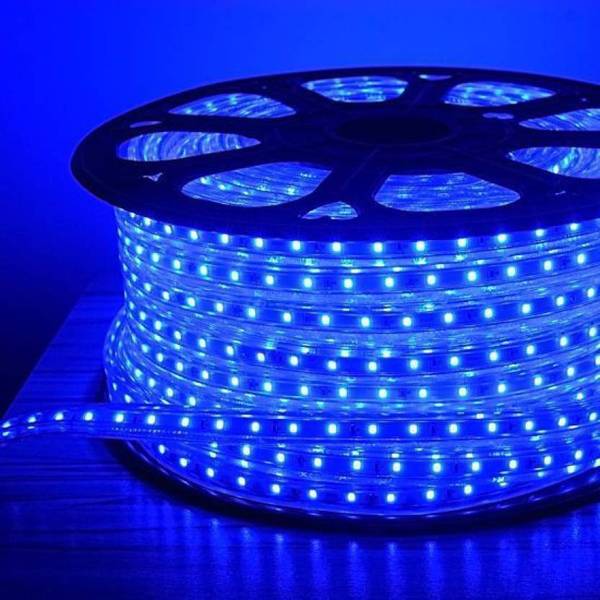 IMAGO 880 LEDs 20 m Blue Steady String Rice Lights