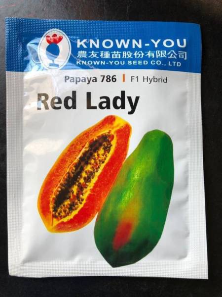 New Geeta Store red lady 786 papaya hybrid taiwan seeds pack of 5 gram Seed