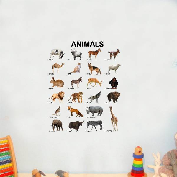 Decal O Decal 75 cm ' Animals with Names For Kids Learning ' Kids Nursery Wall Stickers Self Adhesive Sticker