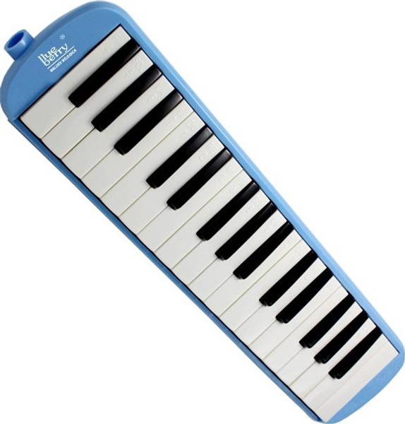 BLUEBERRY BM37K Melodica 37 Keys Piano Instrument Soprano Air Piano with Mouthpiece with Hard ABS Case for Music Lovers