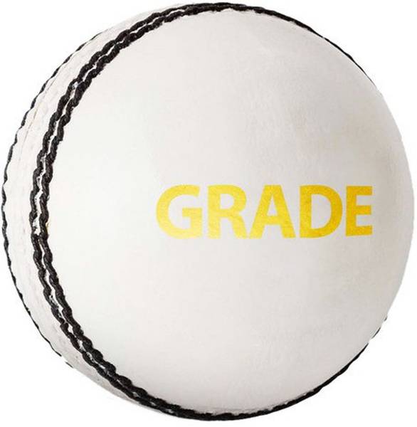 DSC Grade Cricket Leather Ball