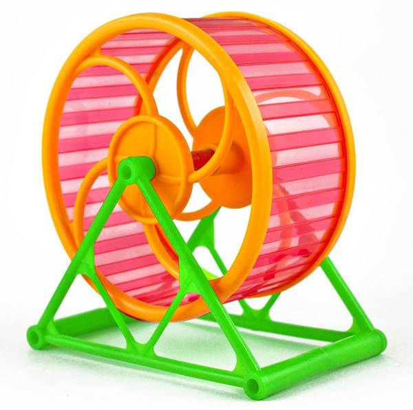 Sage Square Jumbo Running Cum Jogging and Exercise Wheel for Hamster/Dwarf/Gerbil/Mice/Mouse (12.5 cm) Plastic Training Aid For Mouse