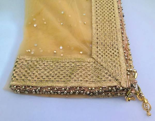 APNA KAPDA BAZAAR Net Self Design Women Dupatta