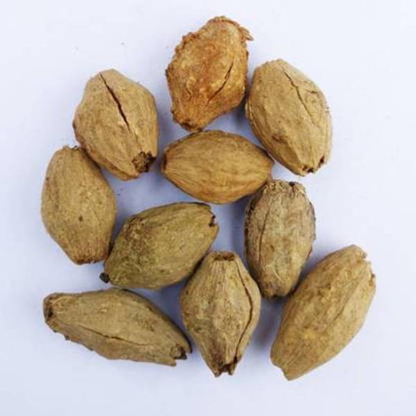 Green India Malabar Neem Seed