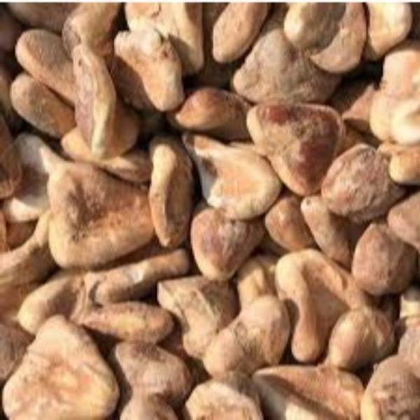 ORGANIC NATURE Dry Singhara Chestnut (Pack of 1 kg) Chestnuts