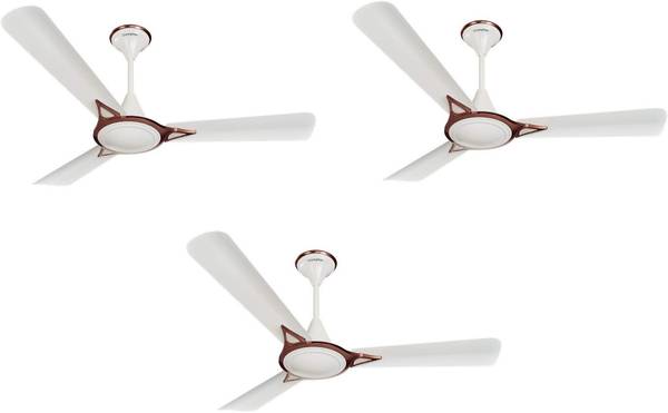 Crompton Avancer Prime Decorative pack of 3 1200 mm 3 Blade Ceiling Fan