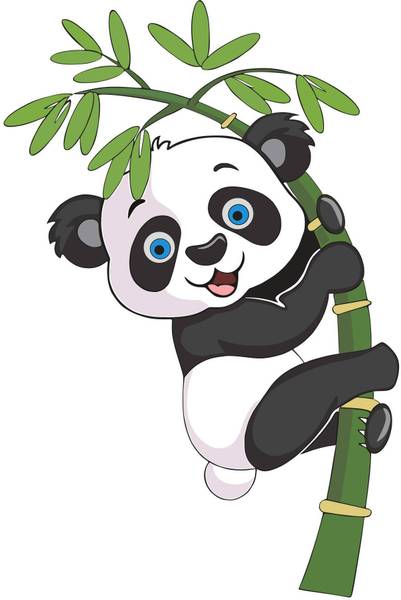 sudrashya 60.96 cm Panda On Tree Wall Sticker Self Adhesive Sticker