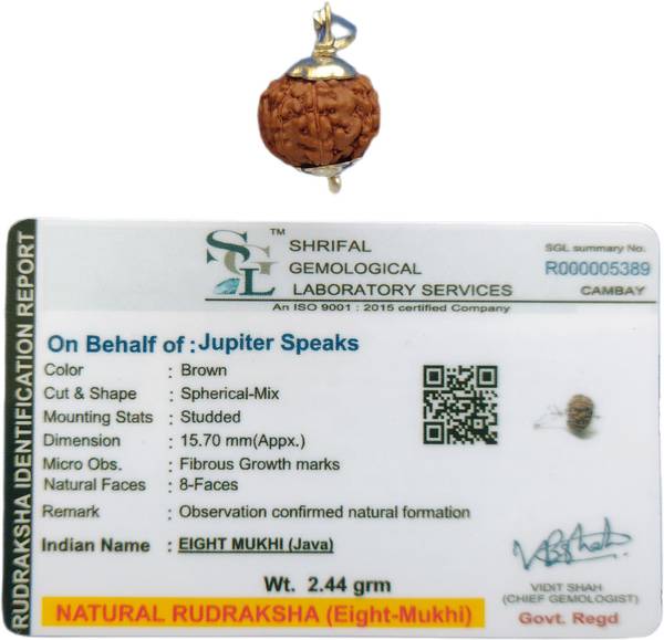 Ruthratcham pendant on sale