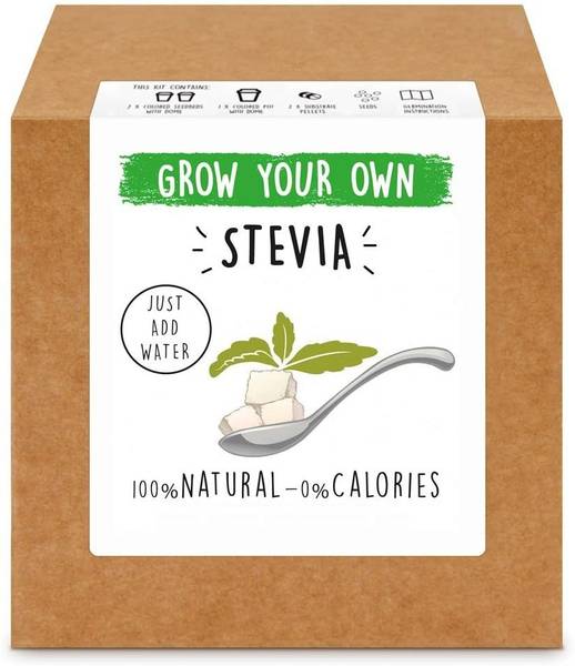 WILLVINE STEVIA Seed