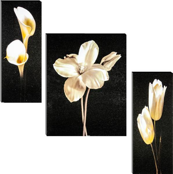 Indianara Set of 3 Multicolored Flowers MDF Art Painting (3067 FL) without glass (4.5 X 12, 9 X 12, 4.5 X 12 INCH) Digital Reprint 12 inch x 18 inch P...