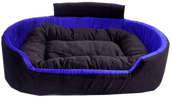 Purple pet bed price online