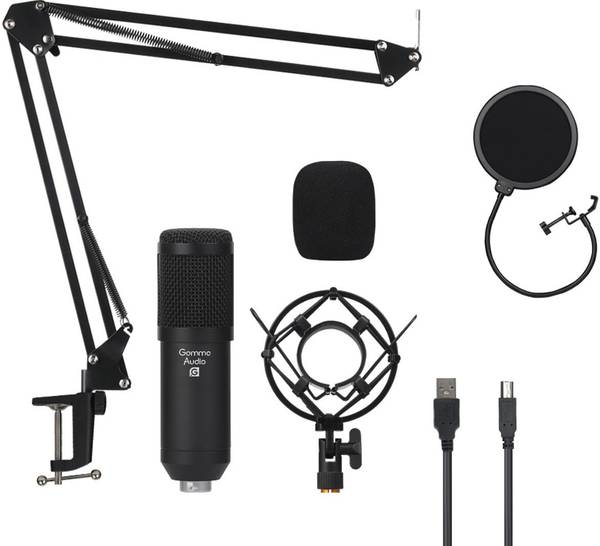 Gamma Audio GA-BM800 Shielded Cable Condenser Microphone With Long Stand,Cable,Shock mount