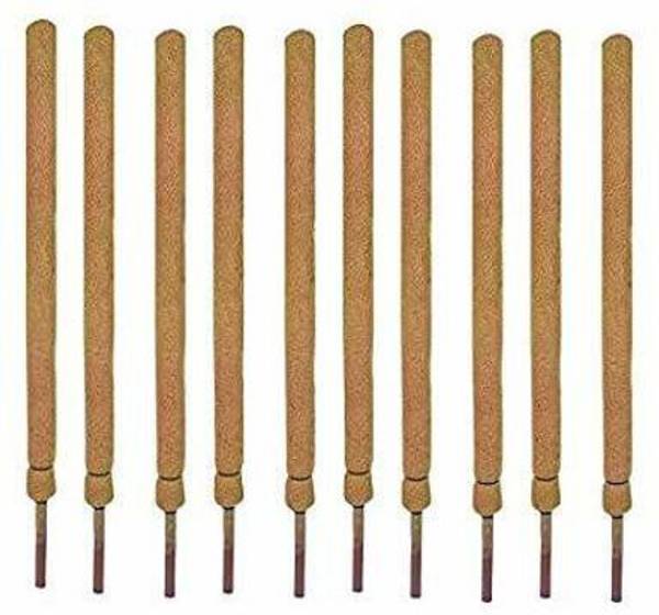 Digihub Coir Moss Stick 3 feet Plant Support - Coco Pole Stick (Pack of 10) - Coir Moss Stick for Money Plant Support, housing & Indoor Plants Garden ...