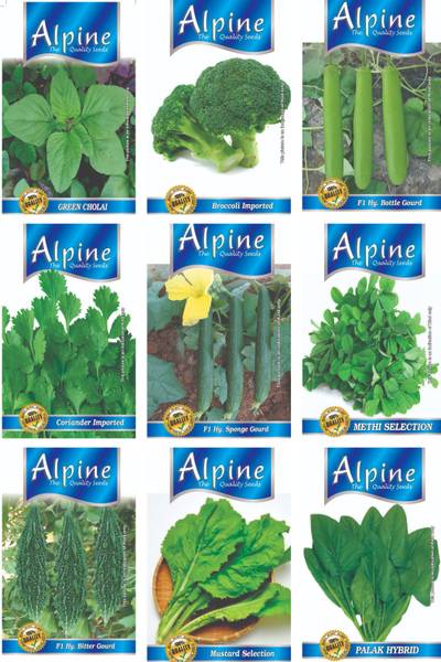 ALPINE HYBRID SEEDS BROCCOLI, LAUKI, DHANIA, TORI, METHI, KARELLA, PALAK, SARSO, GREEN CHOLAI Seed
