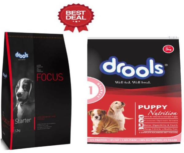 Drools puppy shop starter