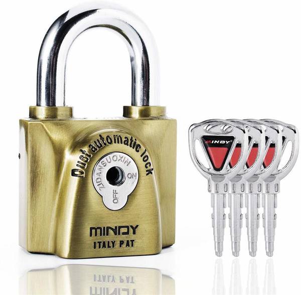 Linist Zinc Alloy Matte Smart Lock
