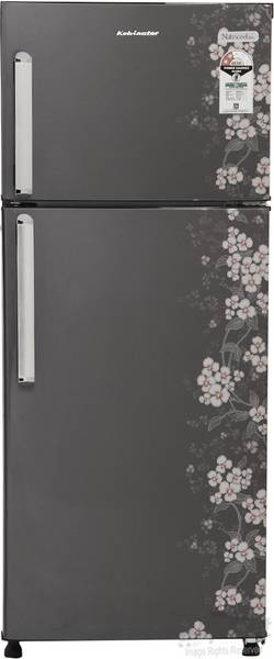Buy Kelvinator 245 L Frost Free Double Door 2 Star Refrigerator