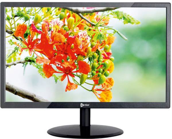 rionix ENTER 22 Inch 22 inch HD VA Panel Gaming Monitor (ENTER 22 Inch)