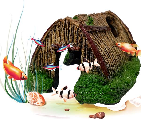 Jainsons aquarium sales