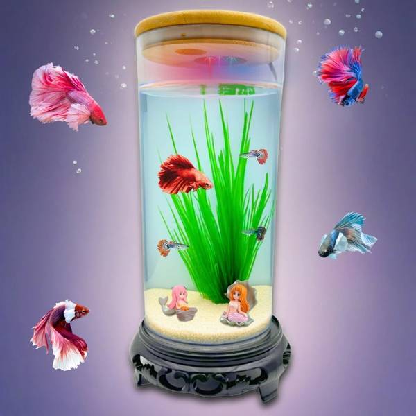 BLUE PET Mini Cylindrical Fish Tank with LED Light for Betta & Guppies (19.5x9.5cm) Cylinder Aquarium Tank