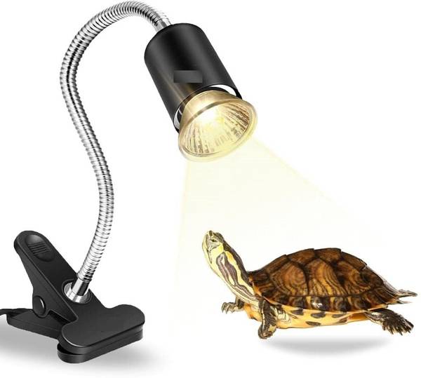 Heat lamp for tortoise pets at home online
