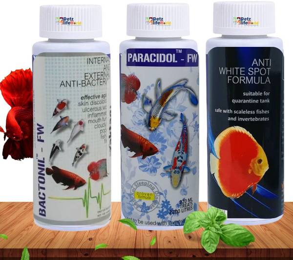 Paracidol on sale