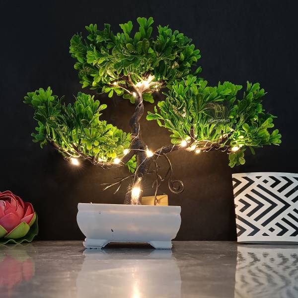 Asharya Artificial Bonsai Plant with LED Light| Pot for Office, Room Decor Bonsai Wild Artificial Plant with Pot