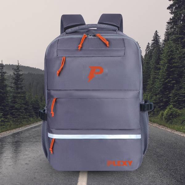 PLEXY EPICSTY ANTI THEFT WATER RESISTANT LAPTOP BAGPACK 45 L Laptop Backpack