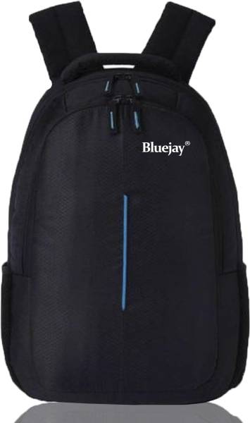 Bluejay Stylish Casual Men And Women Backpack 30 L Laptop Backpack