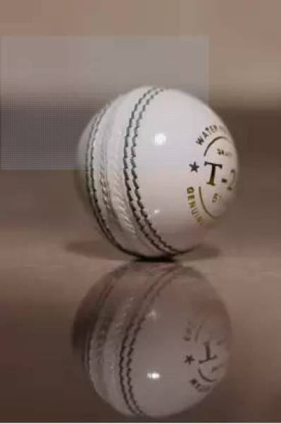 shourya trader Cricket Leather Ball Cricket Leather Ball