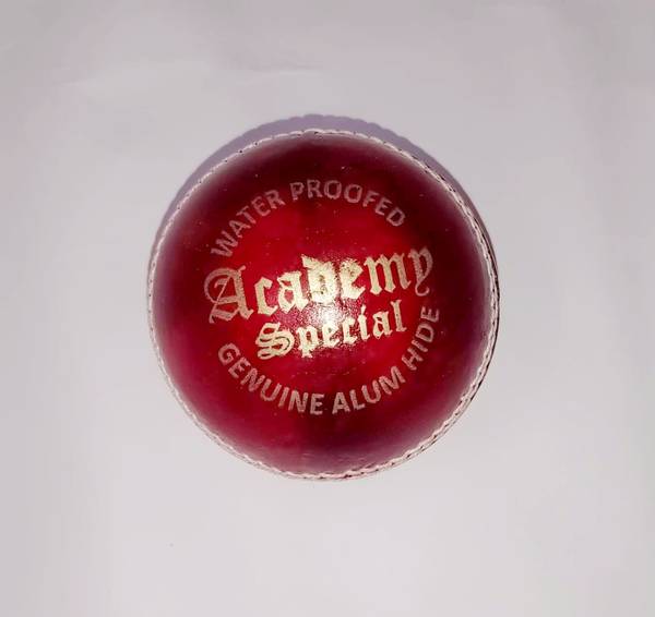 ASASA ACADEMY RED CRICKET LEATHER BALL PACK OF 2 Cricket Leather Ball