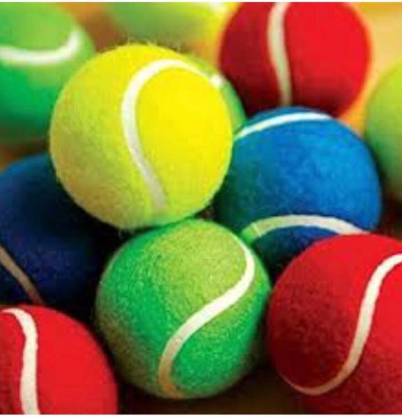 nizex Cricket Tennis Ball Multicolor Balls ( 6 Balls Pack ) Multicolor v77 Cricket Tennis Ball