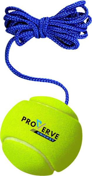 proverve Cricket Tennis Hanging Practice ball Heavy for Indoor/Outdoor Knocking Cricket Training Ball