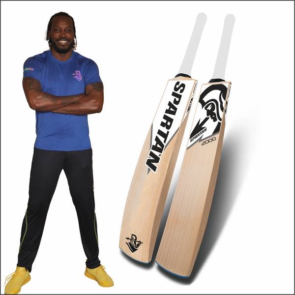 SPARTAN Spirit SPARTAN ENGLISH-WILLOW CRICKET BAT SHADOW 2000 SH English Willow Cricket Bat For 15+ Yrs
