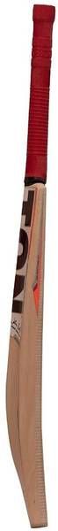 SS Ton Bat Maximus Kashmir Willow Cricket Bat For 15+ Yrs